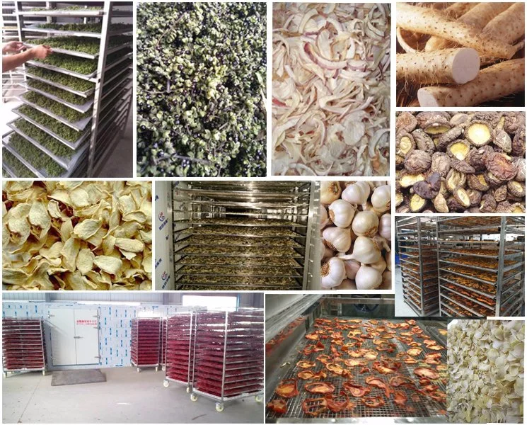 Factory Supply Food Mango Lemon Banana Fruit and Vegetable Garlic Yam Drying Machine