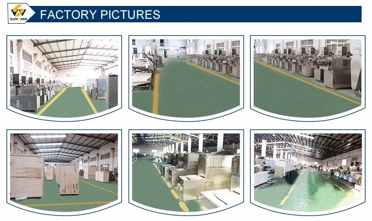 Automatic Kibble Pet Dog Cat Monkey Fox Bird Tilapia Floating Fish Feed Pellet Production Machine Snack Food Mill Processing Making Extrusion Line Price